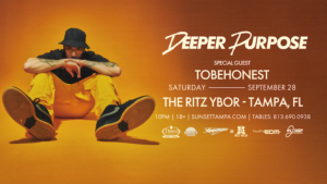 Deeper Purpose Tobehonest edm dm concert tick